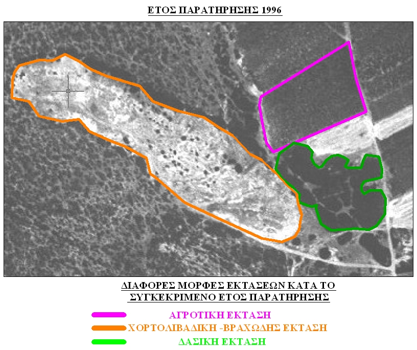 Μελέτη αεροφωτογραφίας για τον προσδιορισμό της μορφής έκτασης (γεωργική ,χορτολιβαδική και δασική)