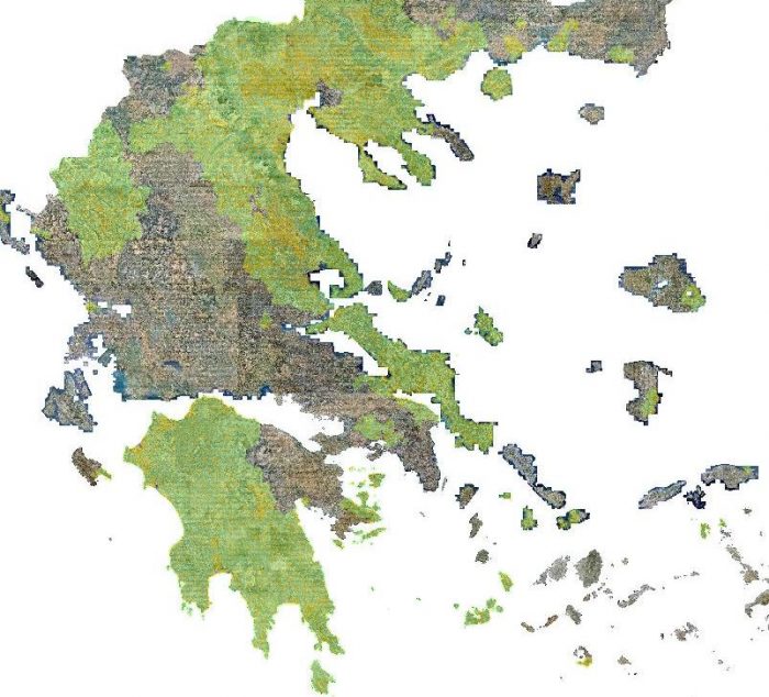 Δασικοί Χάρτες Δήμος Τανάγρας