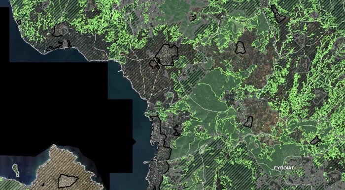 Μελέτη πυροπροστασίας σε δασικές εκτάσεις γραφείο Αρτάκη Ευβοίας.