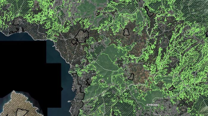 Μελέτη πυροπροστασίας σε δασική έκταση γραφείο Αρτάκη Ευβοίας.