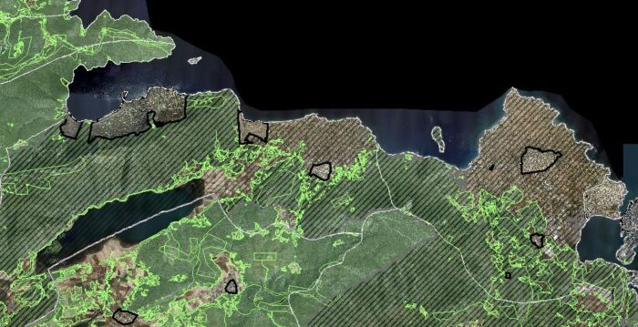 Μελέτη πυροπροστασίας σε δασική έκταση γραφείο Λουκίσια Ευβοίας.