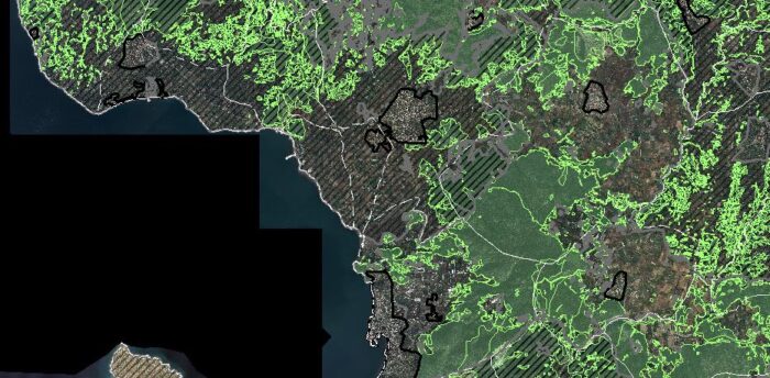Πυροπροστασία σε δασικές εκτάσεις γραφείο Αρτάκη Ευβοίας.
