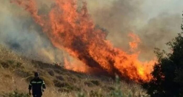 Τι θα πληρώσουν οι ιδιοκτήτες δασικών ακινήτων που δεν υπέβαλαν έντυπο αξιολόγησης και τεχνική έκθεση πυροπροστασίας.
